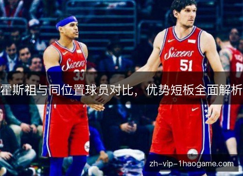 霍斯祖与同位置球员对比，优势短板全面解析